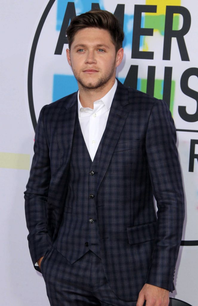 Niall Horan at 2017 American Music Awards at the Microsoft Theater in Los Angeles-4