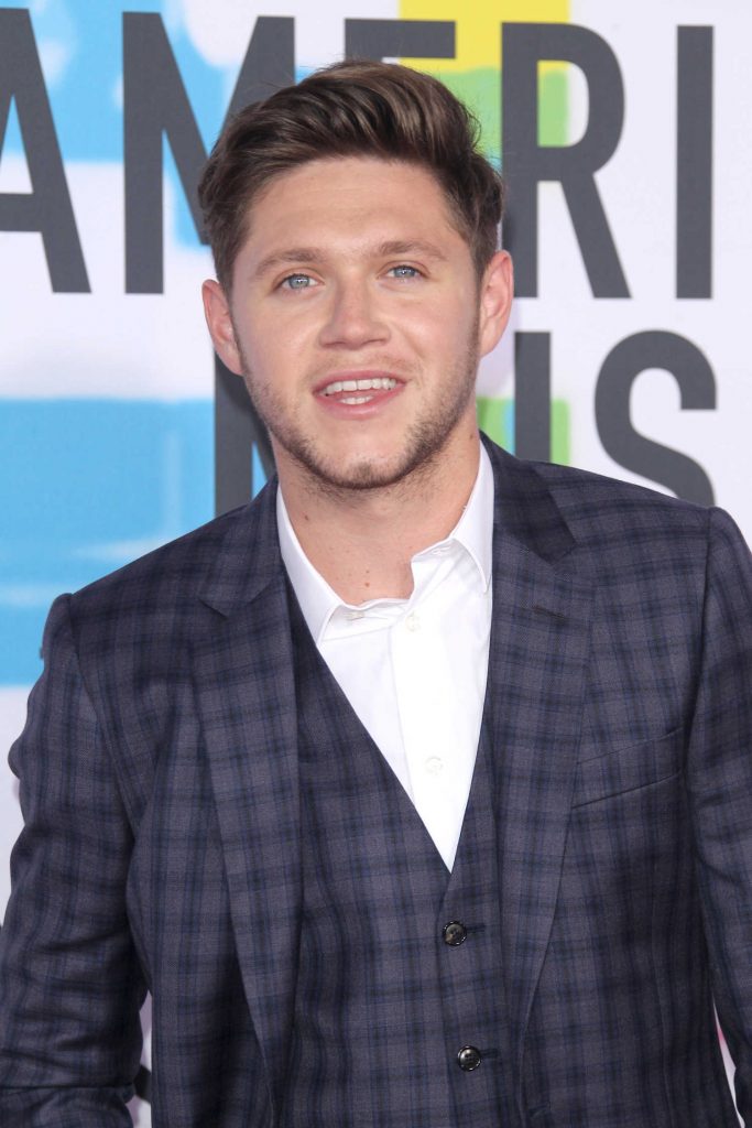 Niall Horan at 2017 American Music Awards at the Microsoft Theater in Los Angeles-5