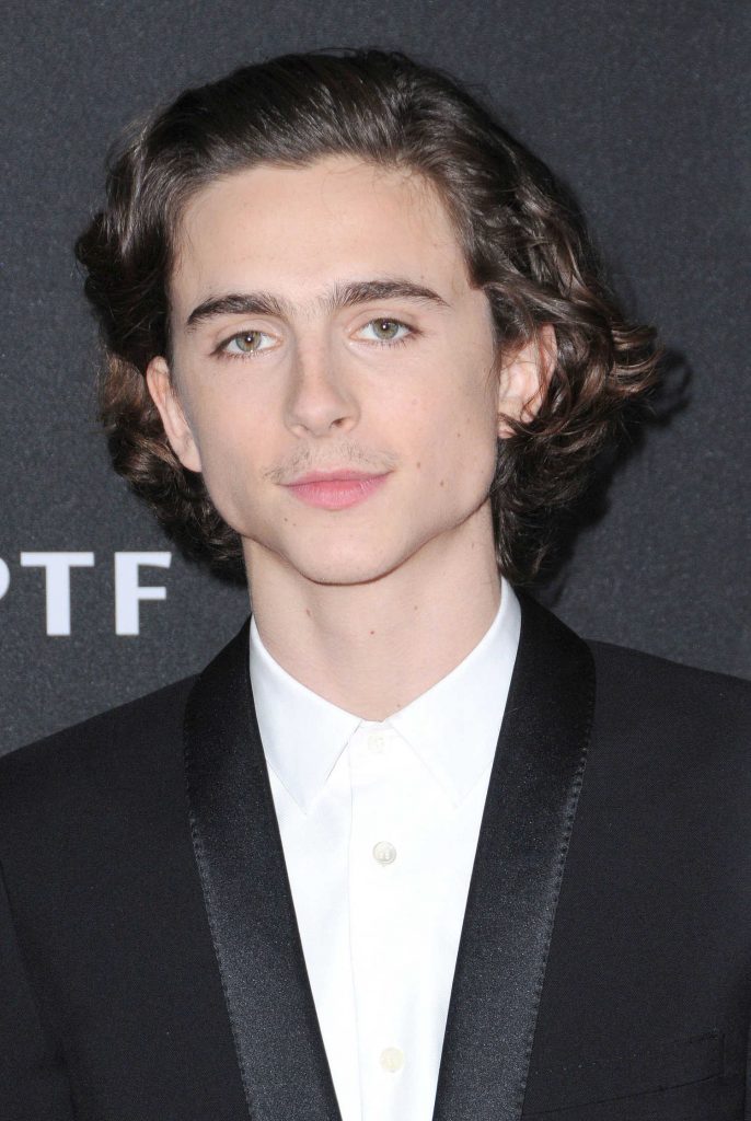 Timothee Chalamet at the 21st Annual Hollywood Film Awards in Los Angeles-4