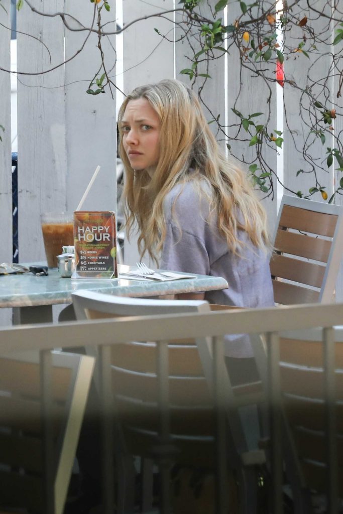 Amanda Seyfried Grabs Lunch in West Hollywood-1