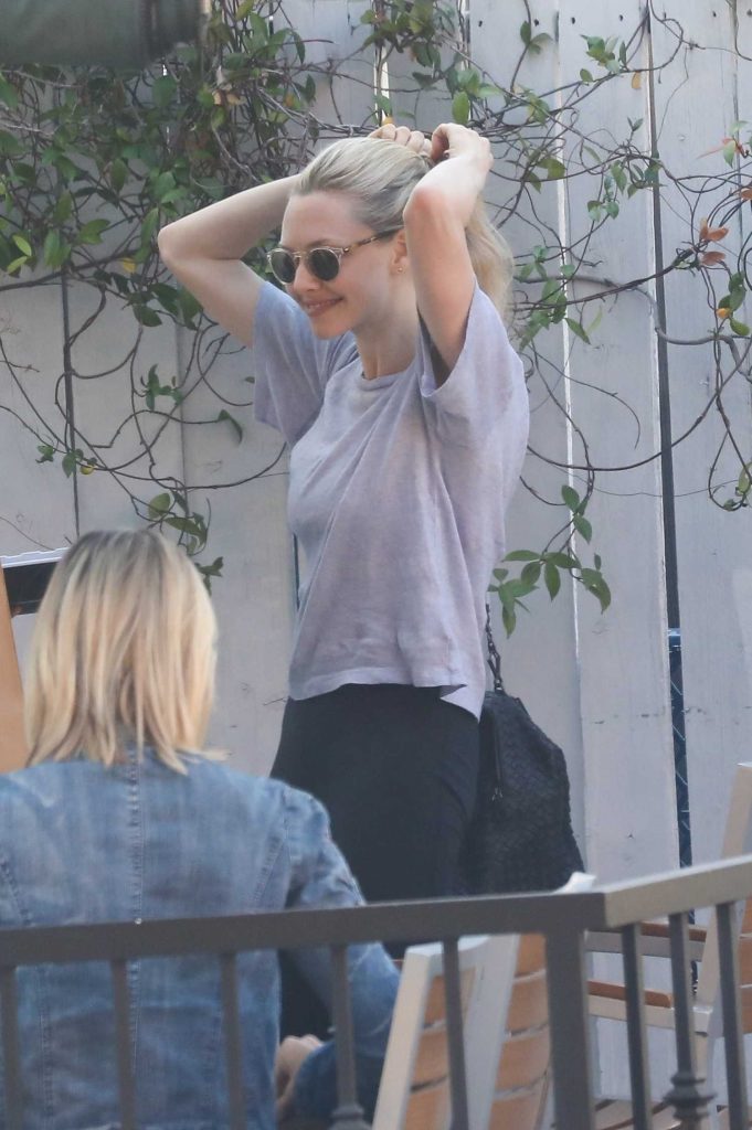 Amanda Seyfried Grabs Lunch in West Hollywood-2
