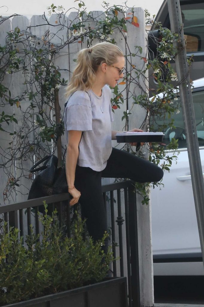 Amanda Seyfried Grabs Lunch in West Hollywood-4