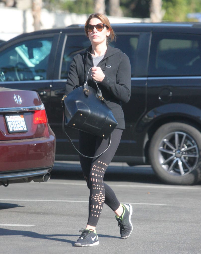 Ashley Greene Goes Shopping for Some Grocery in Beverly Hills-1
