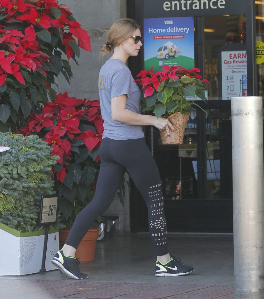 Ashley Greene Goes Shopping for Some Grocery in Beverly Hills-2