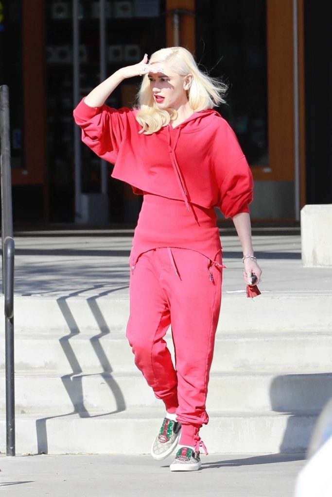 Gwen Stefani Goes Shopping in Burbank-1