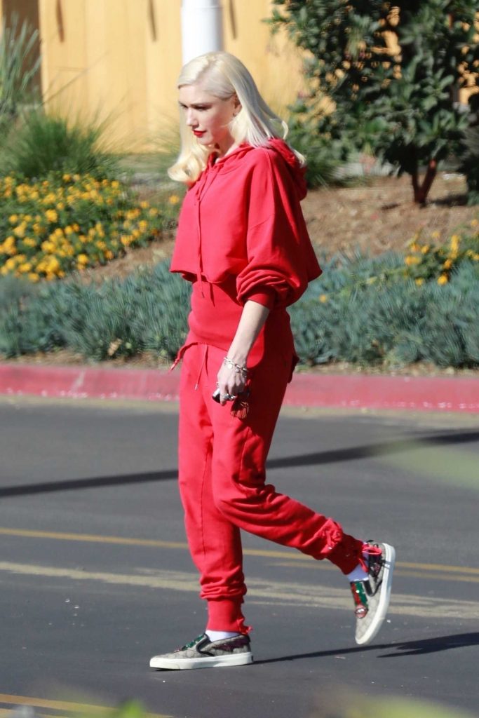 Gwen Stefani Goes Shopping in Burbank-4