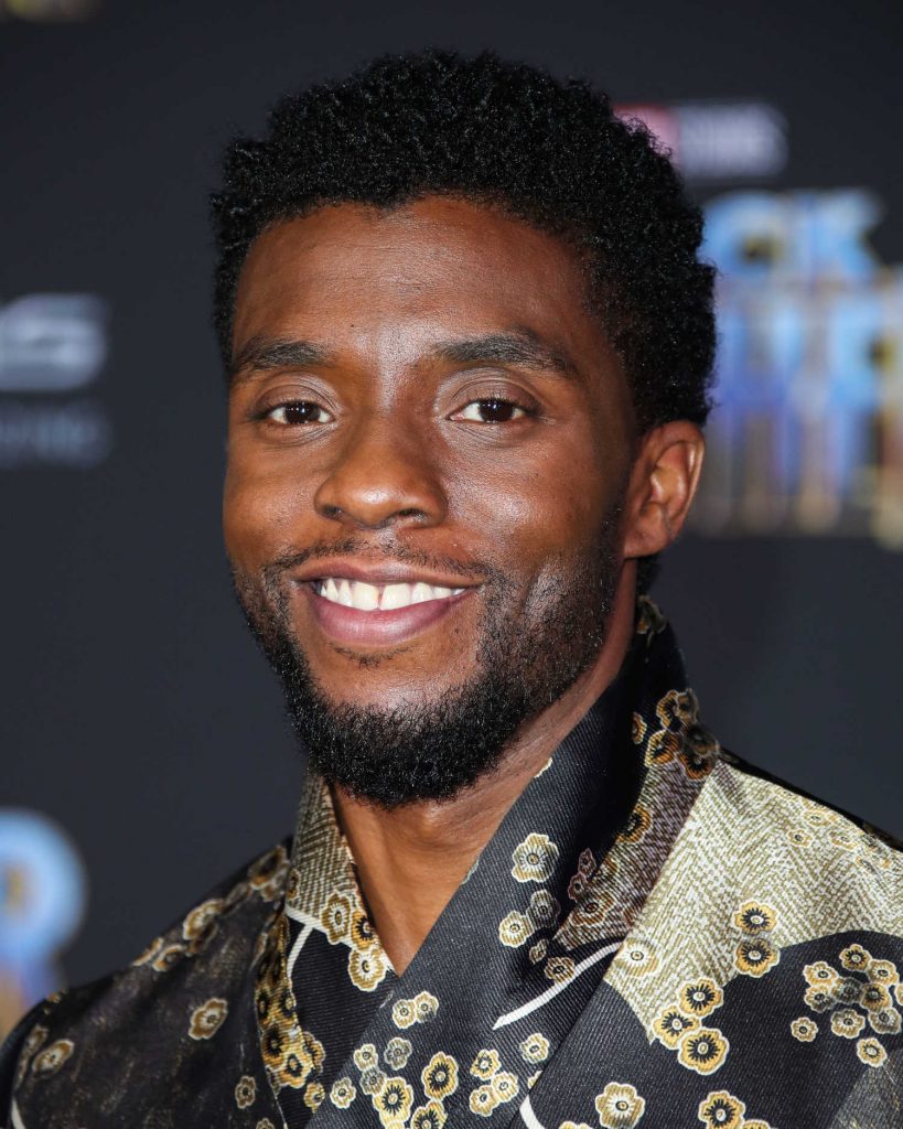 Chadwick Boseman at the Black Panther Premiere in Hollywood-4