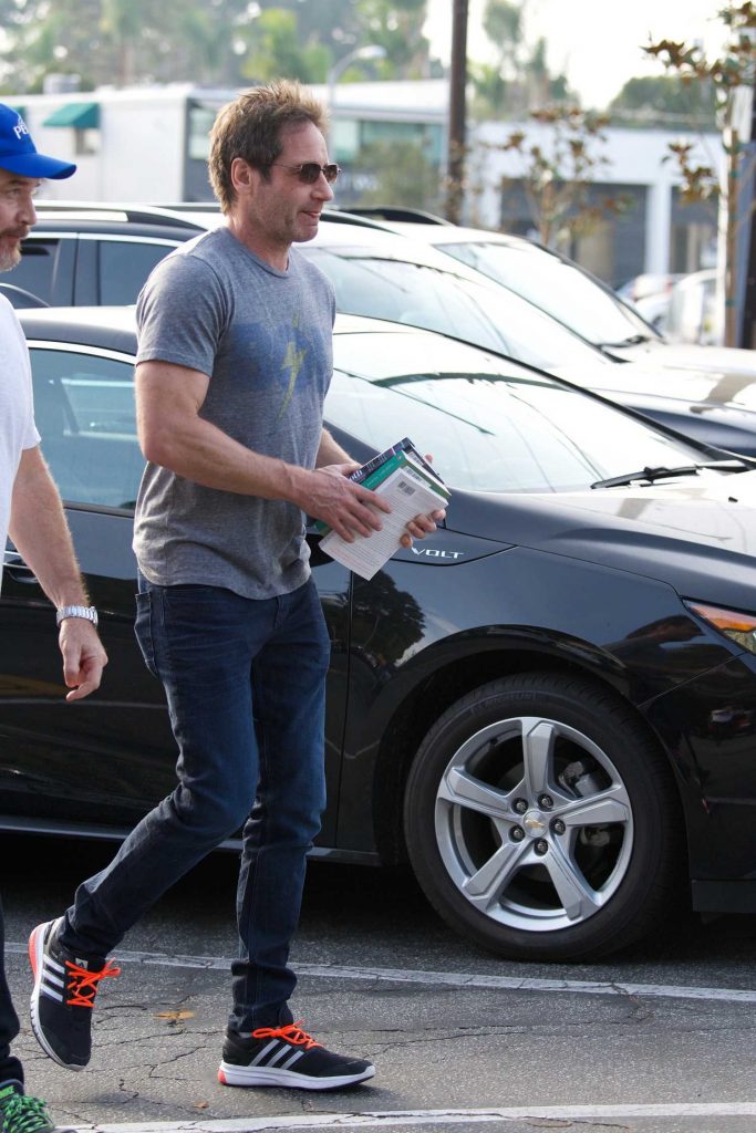 David Duchovny Has Lunch at Le Pain Quotidien in Brentwood-2