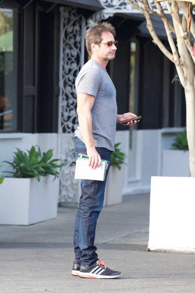 David Duchovny Has Lunch at Le Pain Quotidien in Brentwood-3