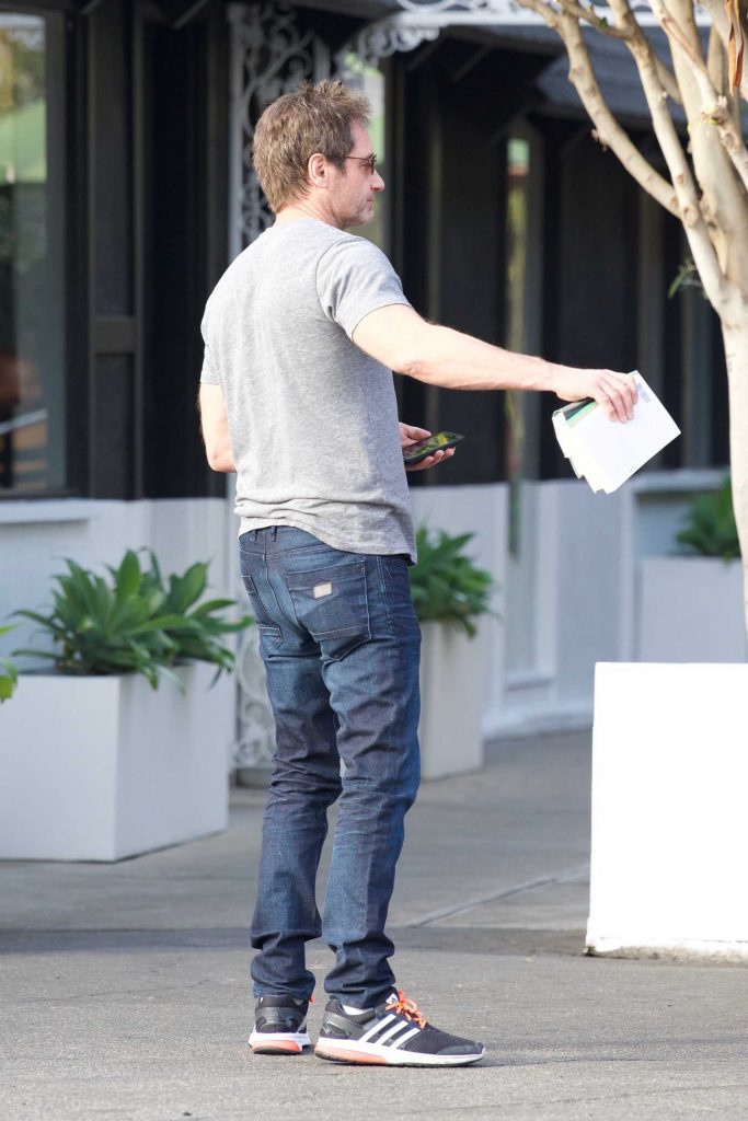 David Duchovny Has Lunch at Le Pain Quotidien in Brentwood-4