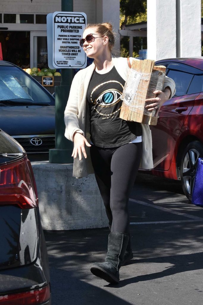 Amy Adams Goes Shopping at Bristol Farms in West Hollywood-4