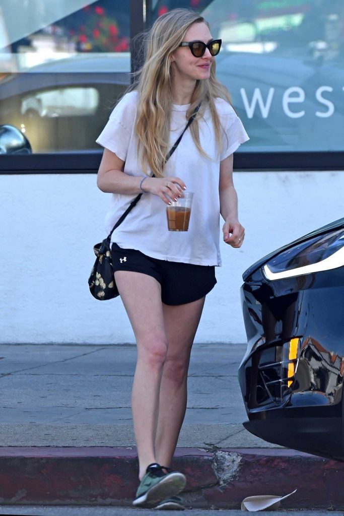 Amanda Seyfried Goes Shopping at West Elm Furniture in Los Angeles-2