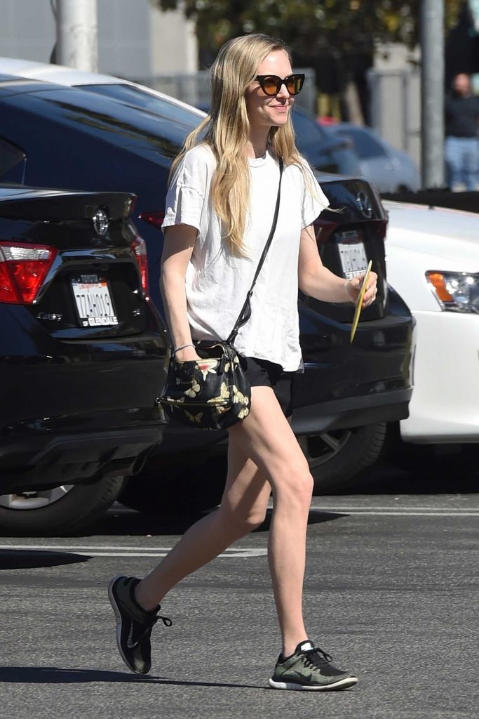 Amanda Seyfried Goes Shopping at West Elm Furniture in Los Angeles-3