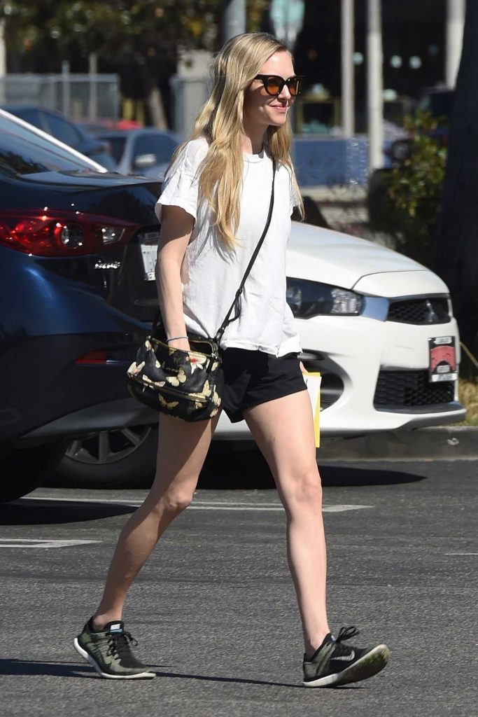 Amanda Seyfried Goes Shopping at West Elm Furniture in Los Angeles-4