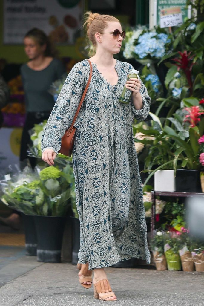 Amy Adams Stepped Out in Los Angeles-2