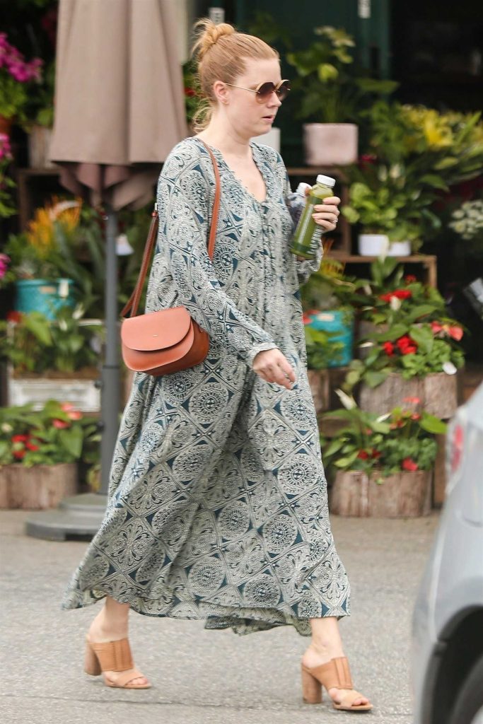 Amy Adams Stepped Out in Los Angeles-4