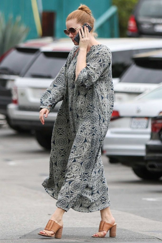 Amy Adams Stepped Out in Los Angeles-5