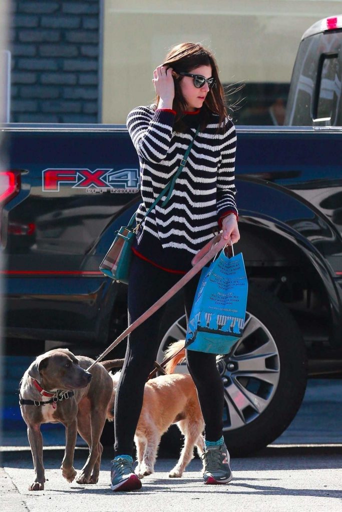 Alexandra Daddario and Zac Efron are Shopping for Their Dogs in Los Angeles-3