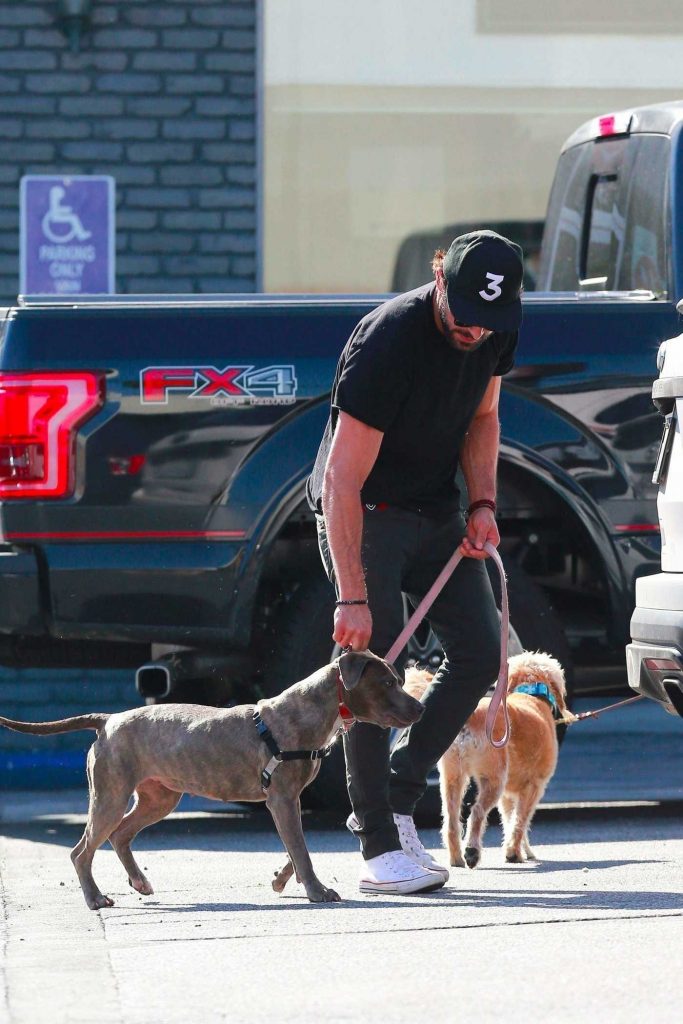 Alexandra Daddario and Zac Efron are Shopping for Their Dogs in Los Angeles-5