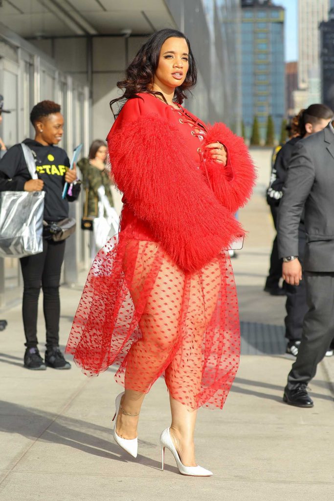 Dascha Polanco Wears a Red See-Thought Skirt Out in New York City-4