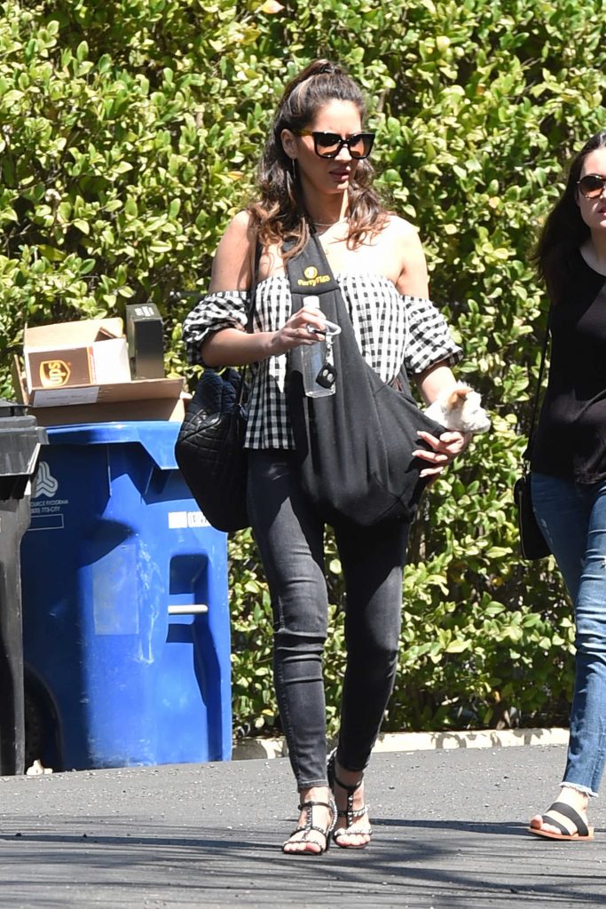 Olivia Munn Carrying Her Dog in Los Angeles-3