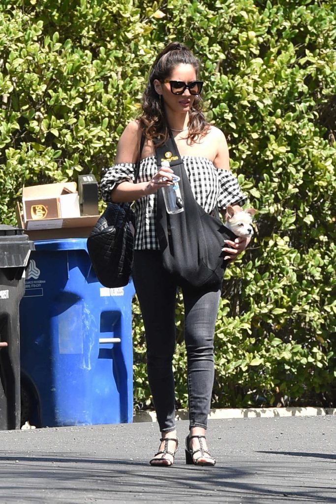 Olivia Munn Carrying Her Dog in Los Angeles-4