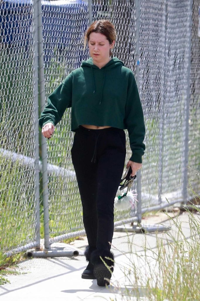 Ashley Tisdale Wears a Green Sweatshirt Out in Los Angeles-1