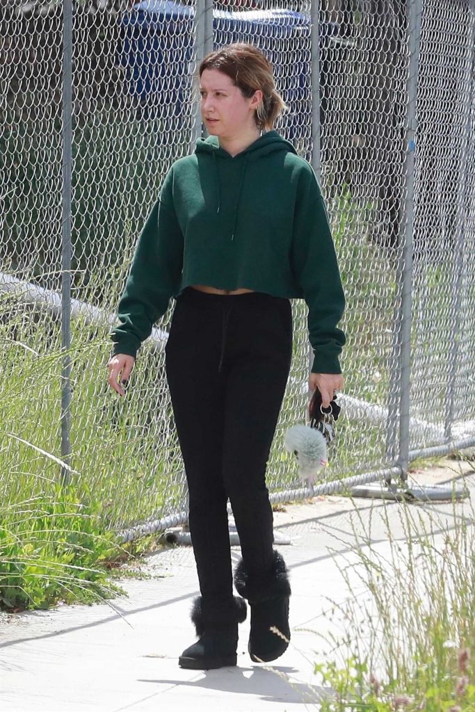 Ashley Tisdale Wears a Green Sweatshirt Out in Los Angeles-2