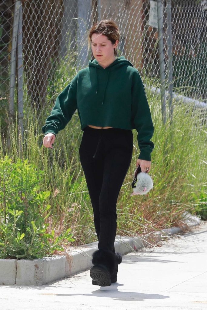 Ashley Tisdale Wears a Green Sweatshirt Out in Los Angeles-3