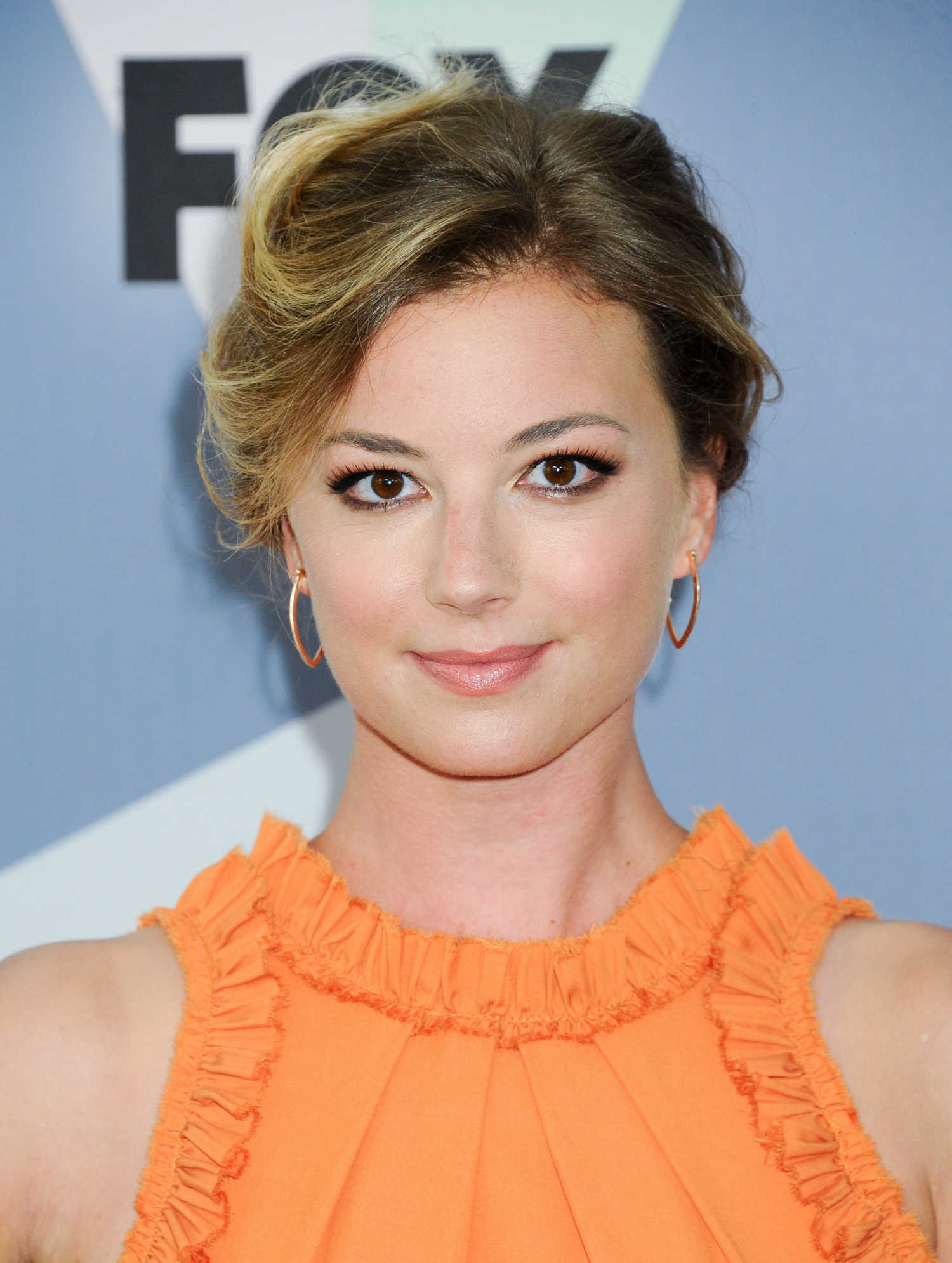 Emily VanCamp Hot Pictures Which Will Make You Think Dirty 