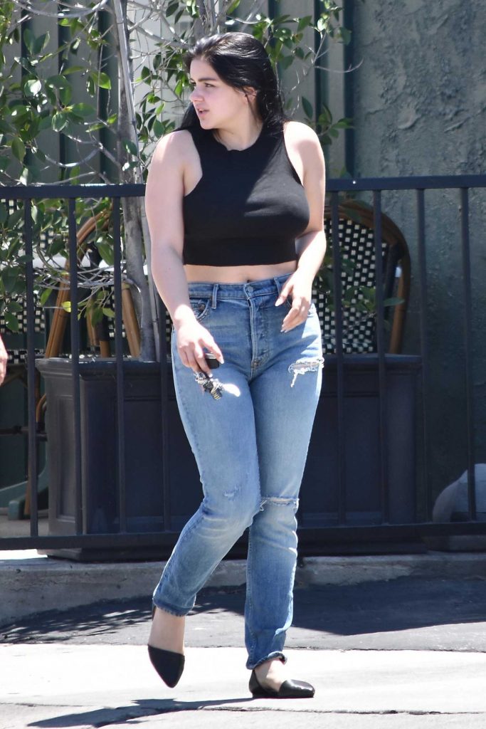 Ariel Winter Out on a Stroll in Los Angeles-1