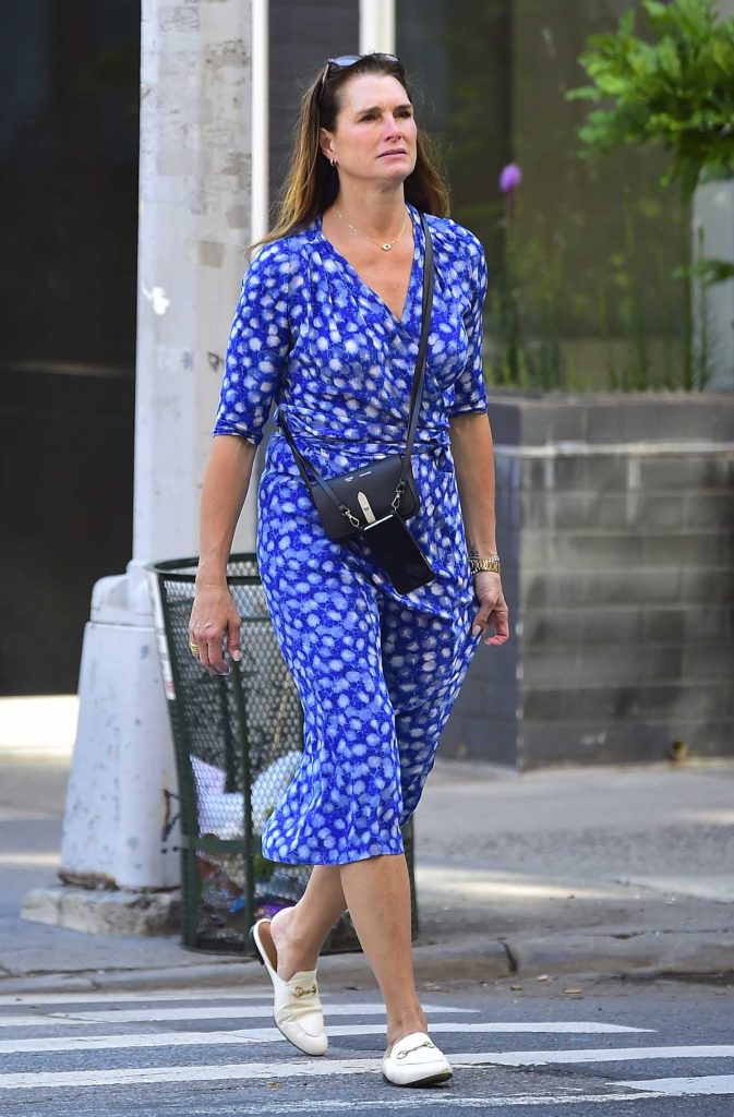 Brooke Shields Was Seen Out in New York City-1