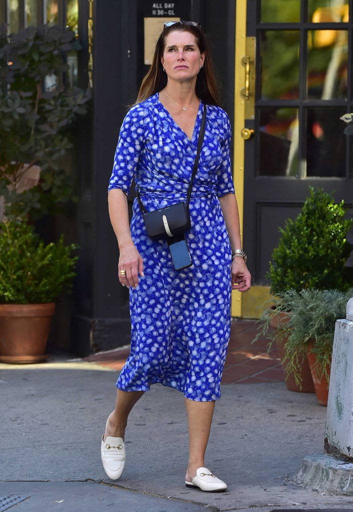 Brooke Shields Was Seen Out in New York City-3
