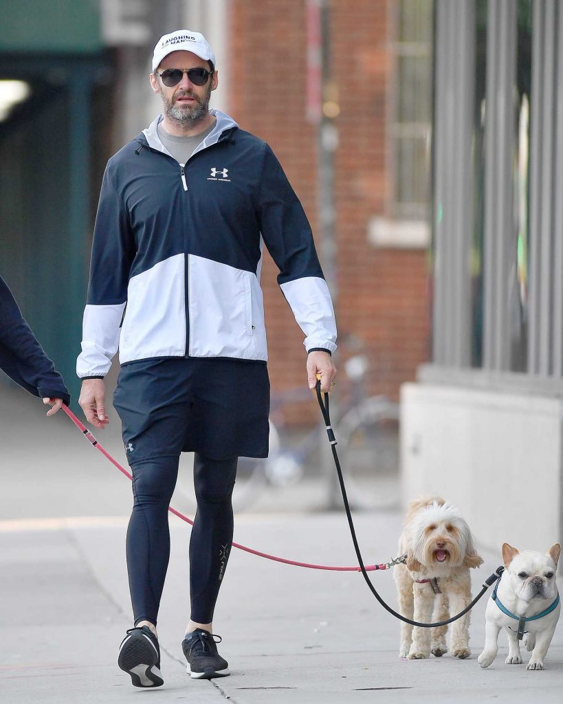 Hugh Jackman Walks His Dogs Out in New York City-3