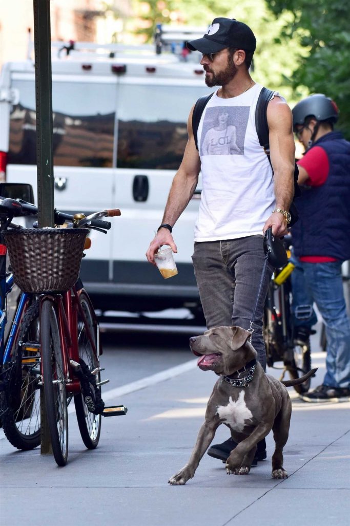 Justin Theroux Walks His Dog Out in New York-3
