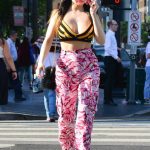 Carla Howe in a Pink Military Pants Was Seen Out in Los Angeles