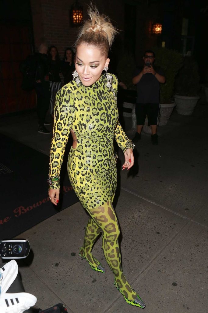 Rita Ora in a Green Snake Print Dress