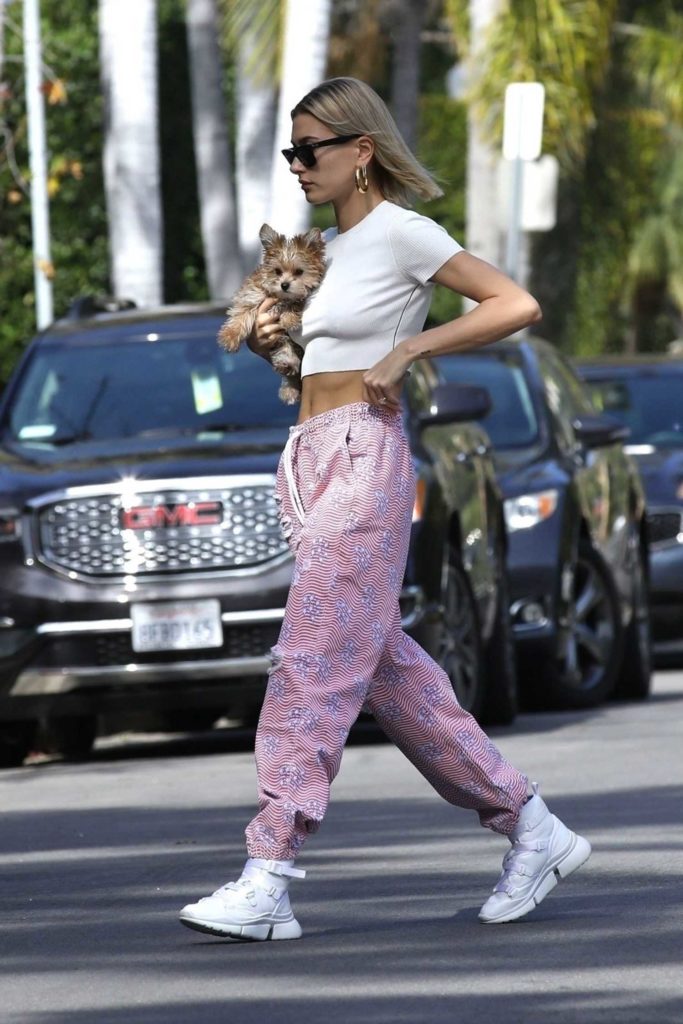 Hailey Baldwin in a Pink Ripped Sweatpants