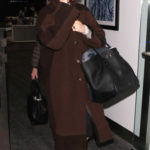 Sarah Paulson in a Brown Coat Arrives at LAX Airport in LA