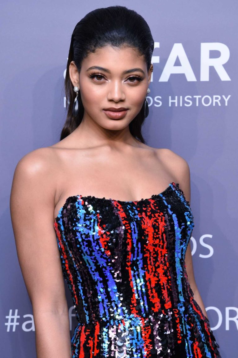 Danielle Herrington Attends 2019 amfAR New York Gala at Cipriani Wall