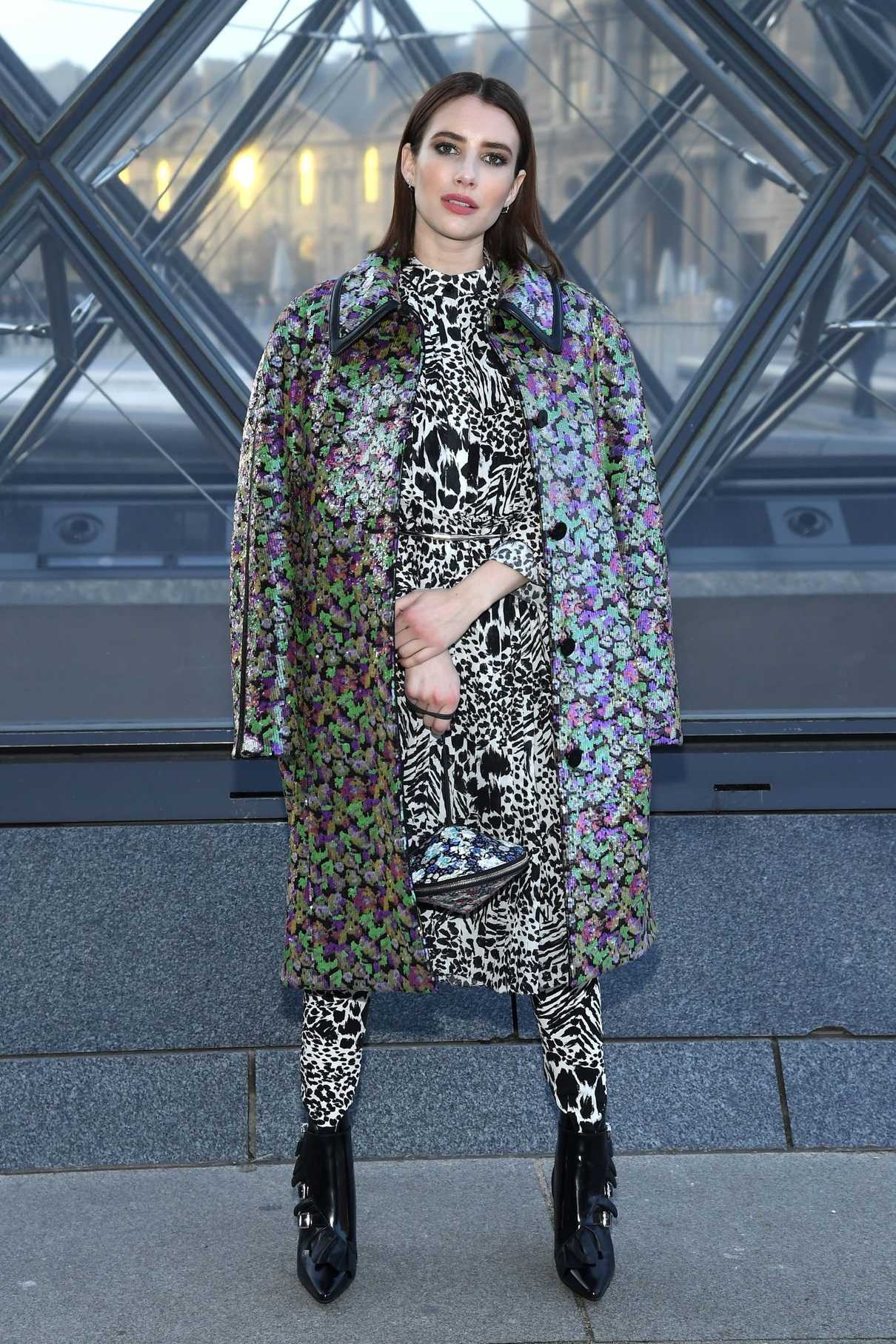 Emma Roberts Attends the Louis Vuitton Fashion Show During PFW in Paris ...
