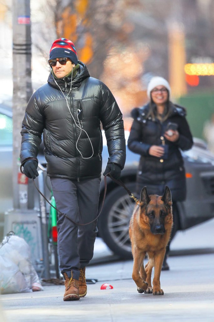 Jake Gyllenhaal in a Black Puffer Jacket