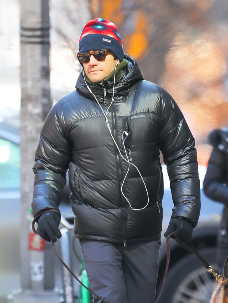 Jake Gyllenhaal in a Black Puffer Jacket Walks His Dog Out in New York ...