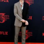 Joe Keery Attends the Stranger Things Season 3 Premiere in Santa Monica