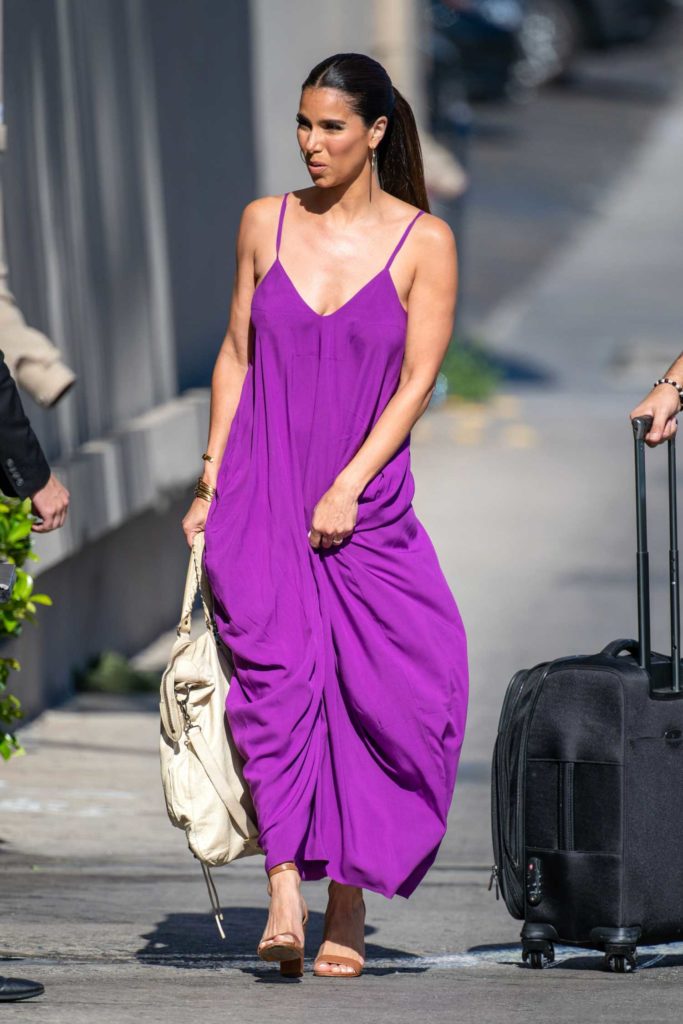 Roselyn Sanchez in a Purple Dress