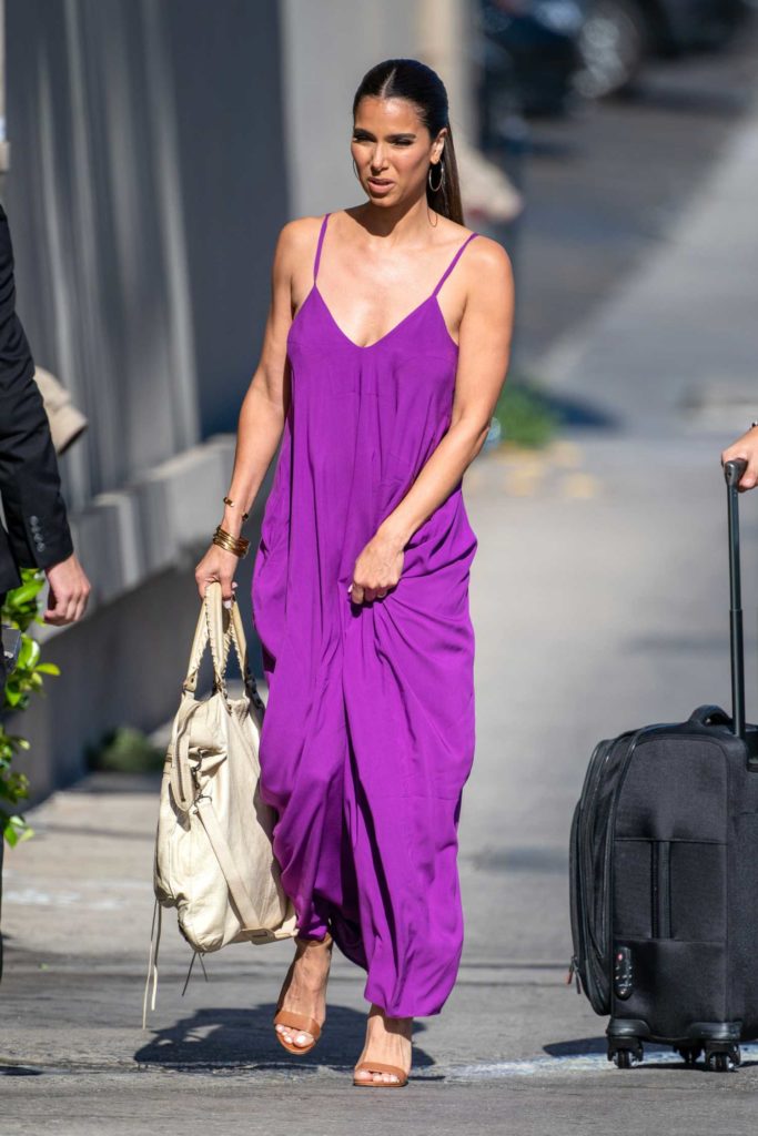 Roselyn Sanchez in a Purple Dress