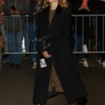 Dianna Agron in a Black Coat Was Seen Out in NY