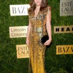 Elizabeth Hurley Attends an Evening Honoring Leonard A. Lauder in NYC