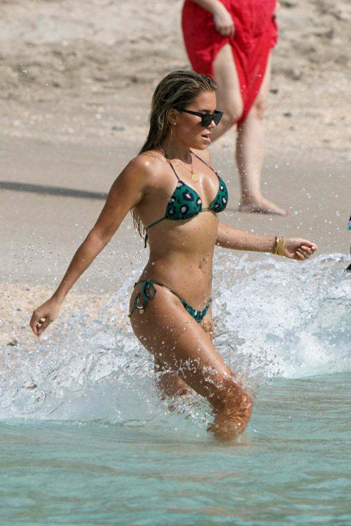 Sylvie Meis in a Green Bikini