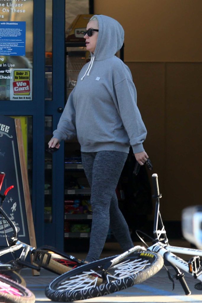 Katy Perry in a Gray Hoody